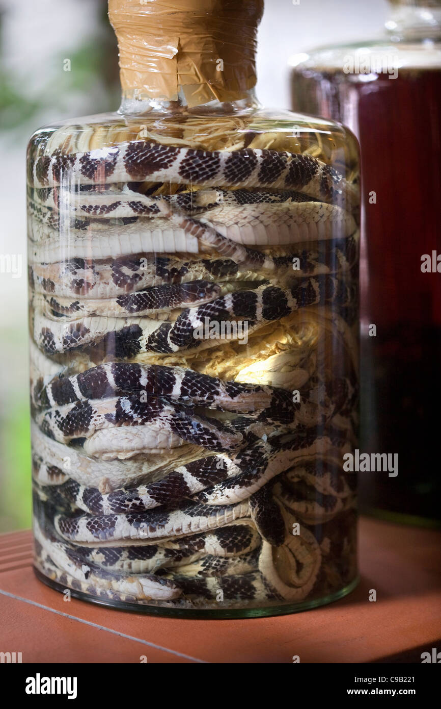 Snake in liquor hi-res stock photography and images - Alamy