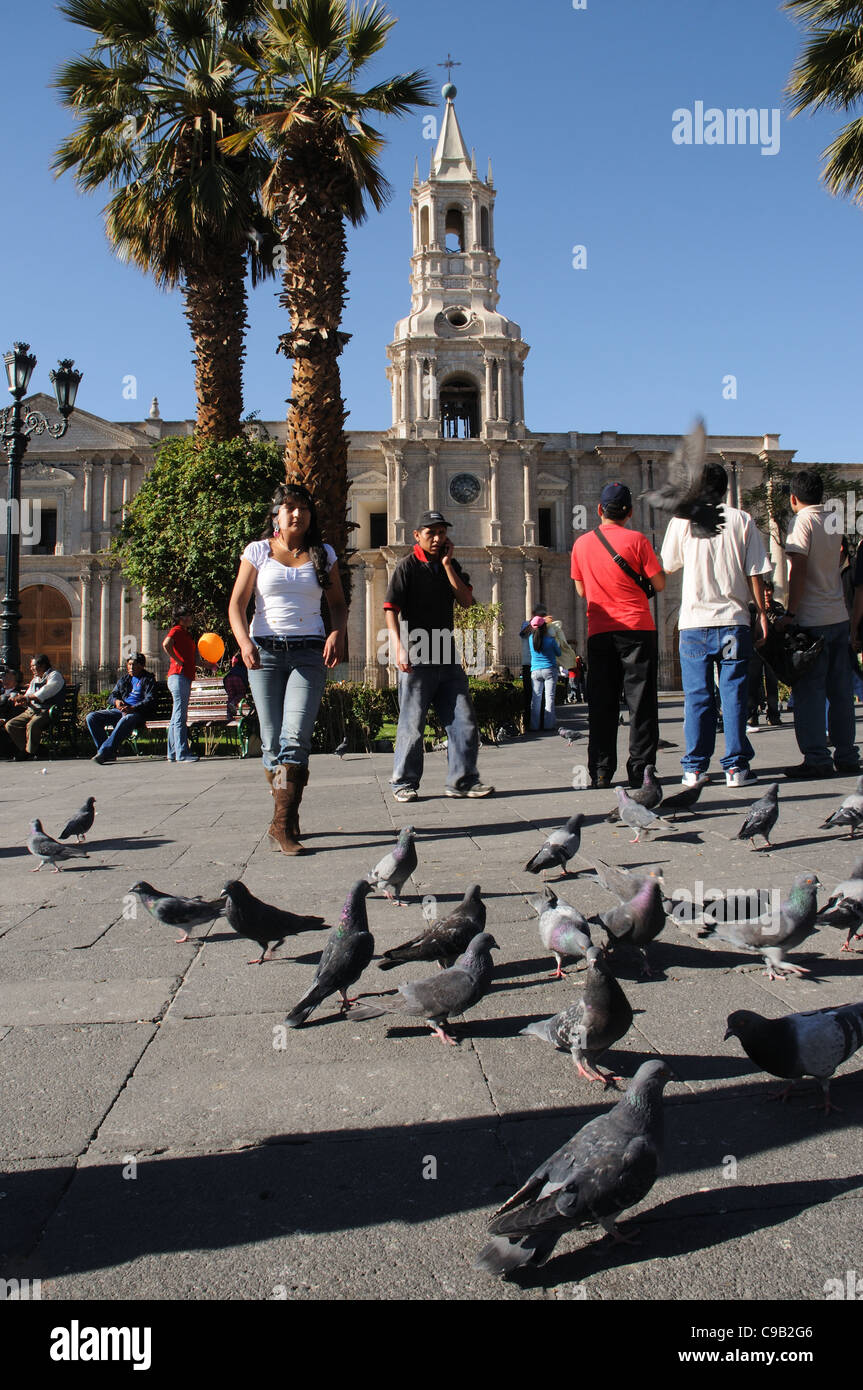 Plaza de Armas and the Cathedral at Arequipa Stock Photo