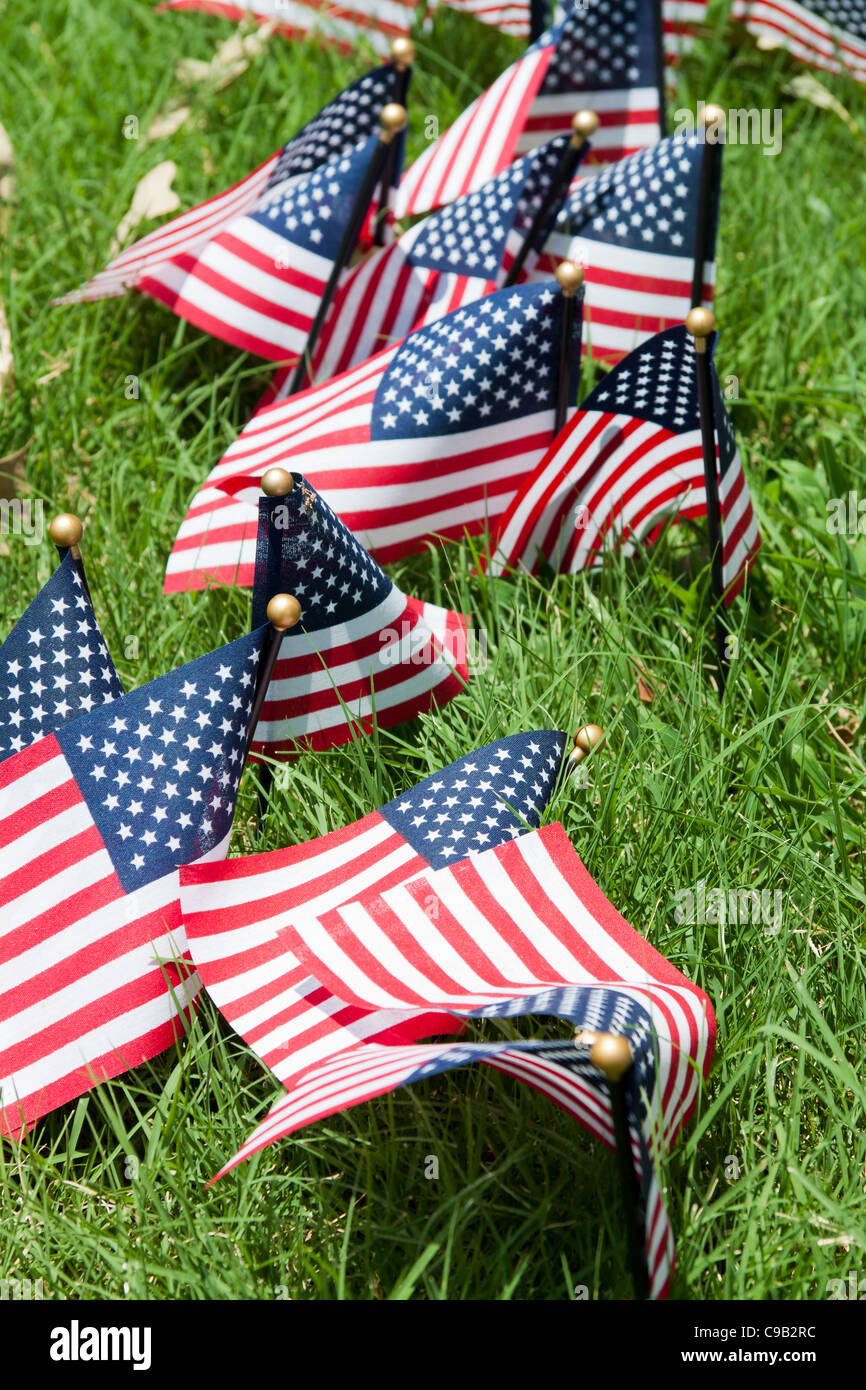 American Flags planted in Washington DC, USA. Stock Photo