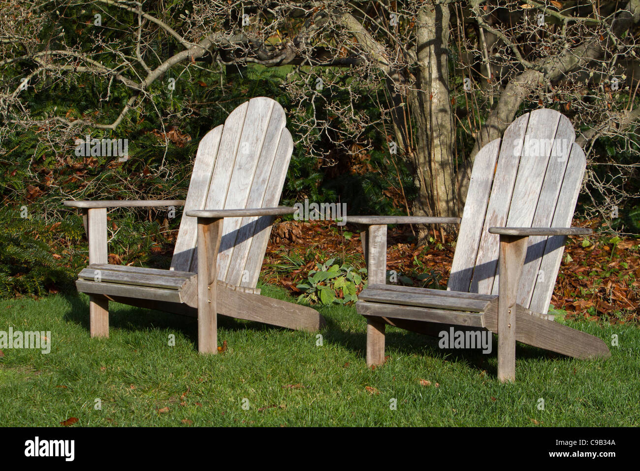 Adirondack trees hires stock photography and images Alamy
