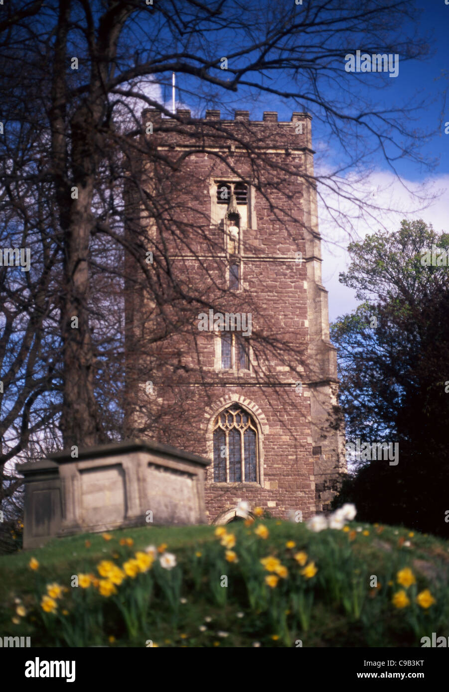 St Woolos Cathedral with daffodils in foreground Newport South Wales UK Stock Photo