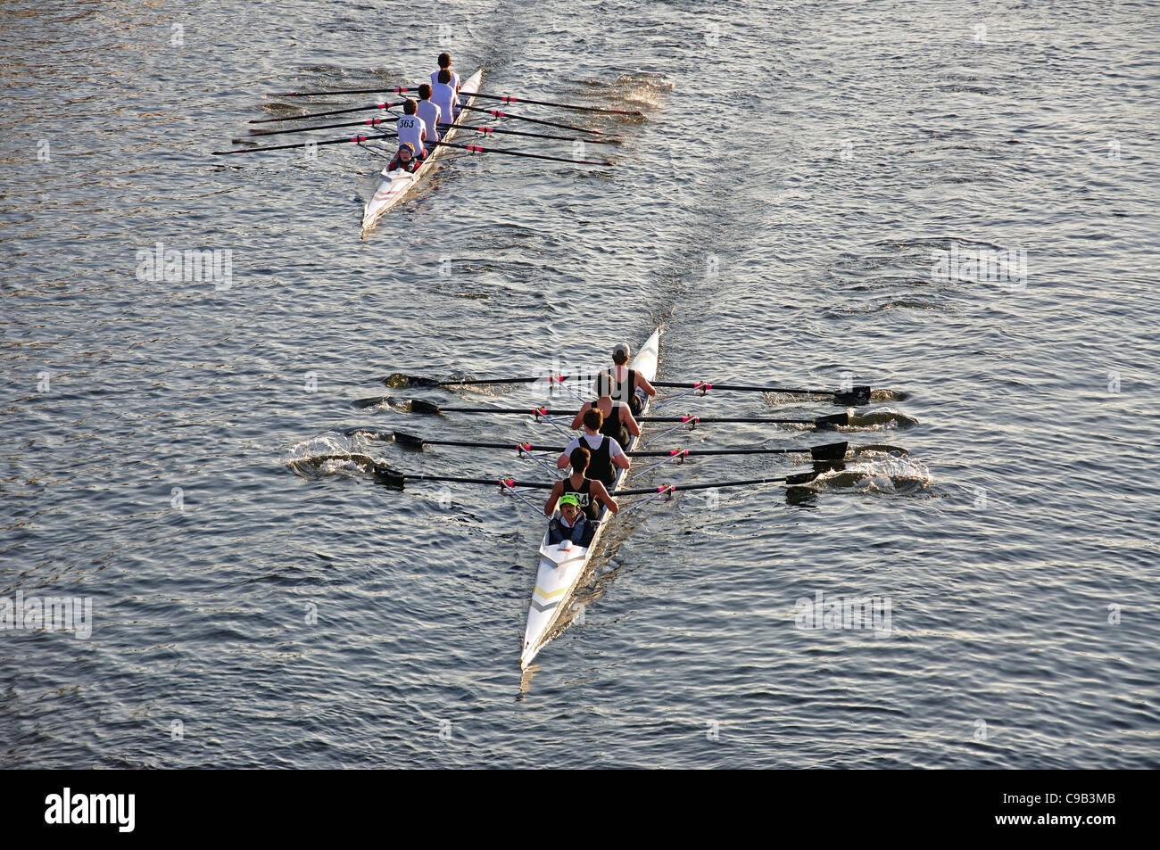 Rowing boat race on River Thames, Kingston upon Thames, Greater Stock Photo 40197035 Alamy