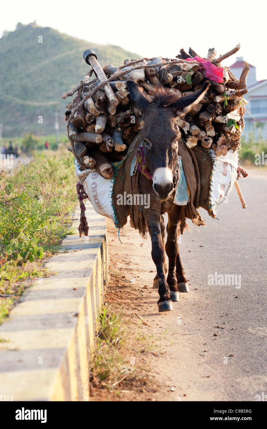 Animal donkey load hi-res stock photography and images - Alamy