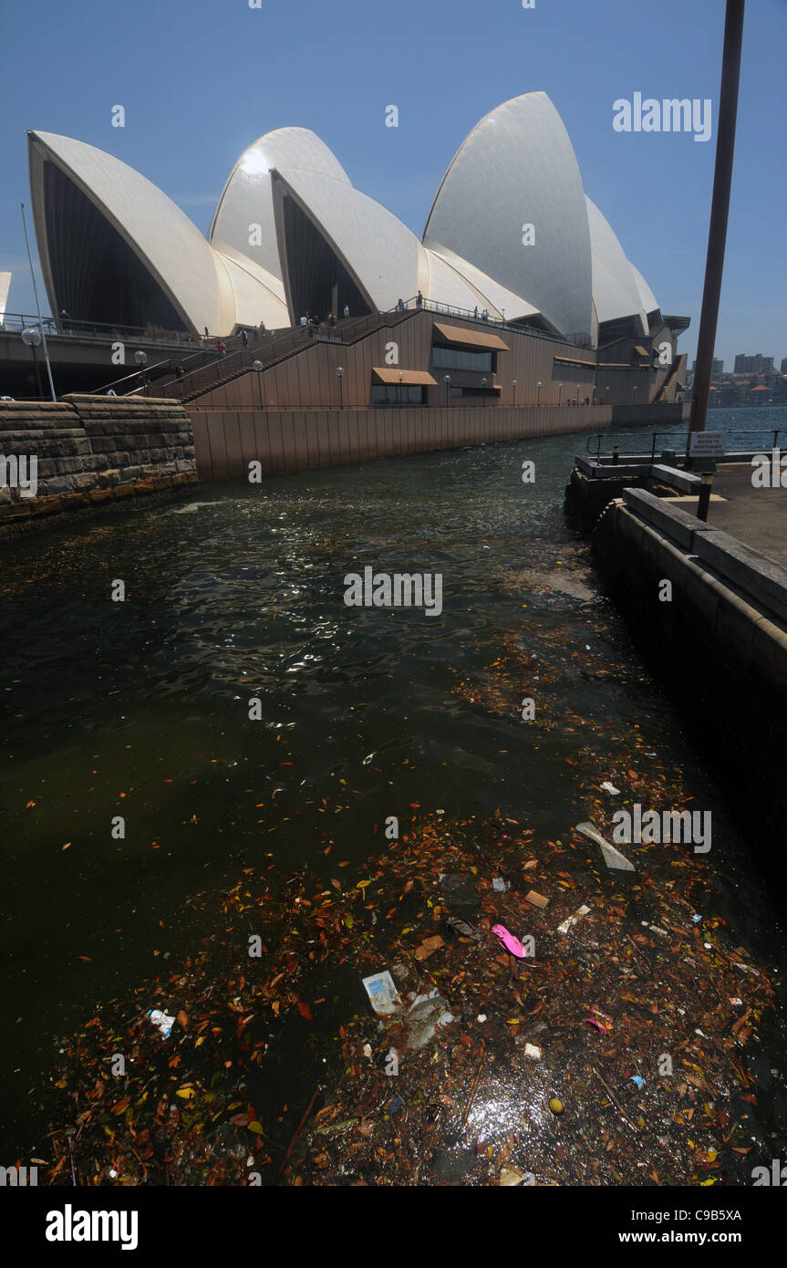 Rubbish floating in Sydney Harbour near the Opera House, NSW, Australia. No PR Stock Photo