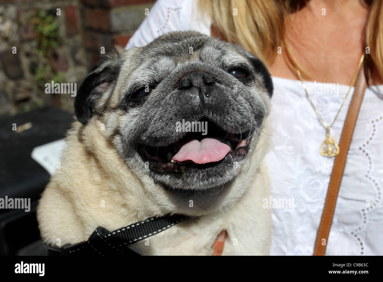 A woman holding her pet pug in Lewes, East Sussex, UK. Stock Photo