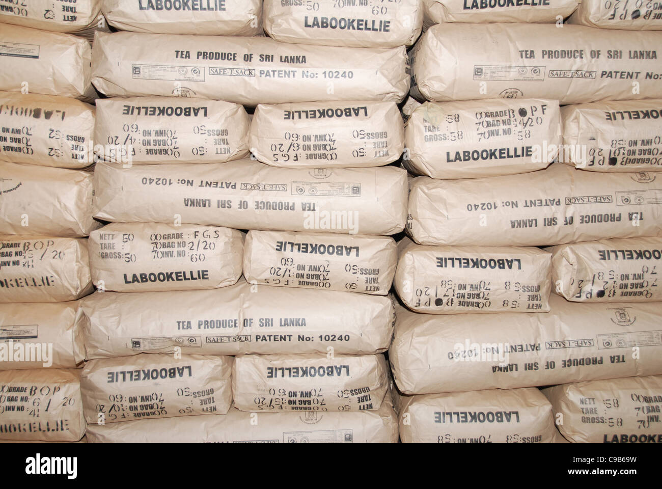 Large paper bags full of premium Sri Lankan tea directly in the factory at Nuwara Elyia, Sri