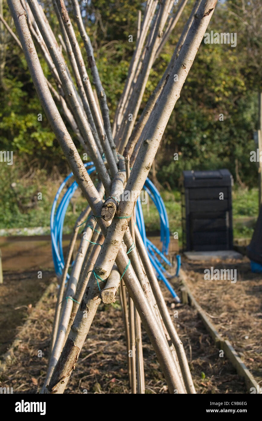 Bean sticks hires stock photography and images Alamy