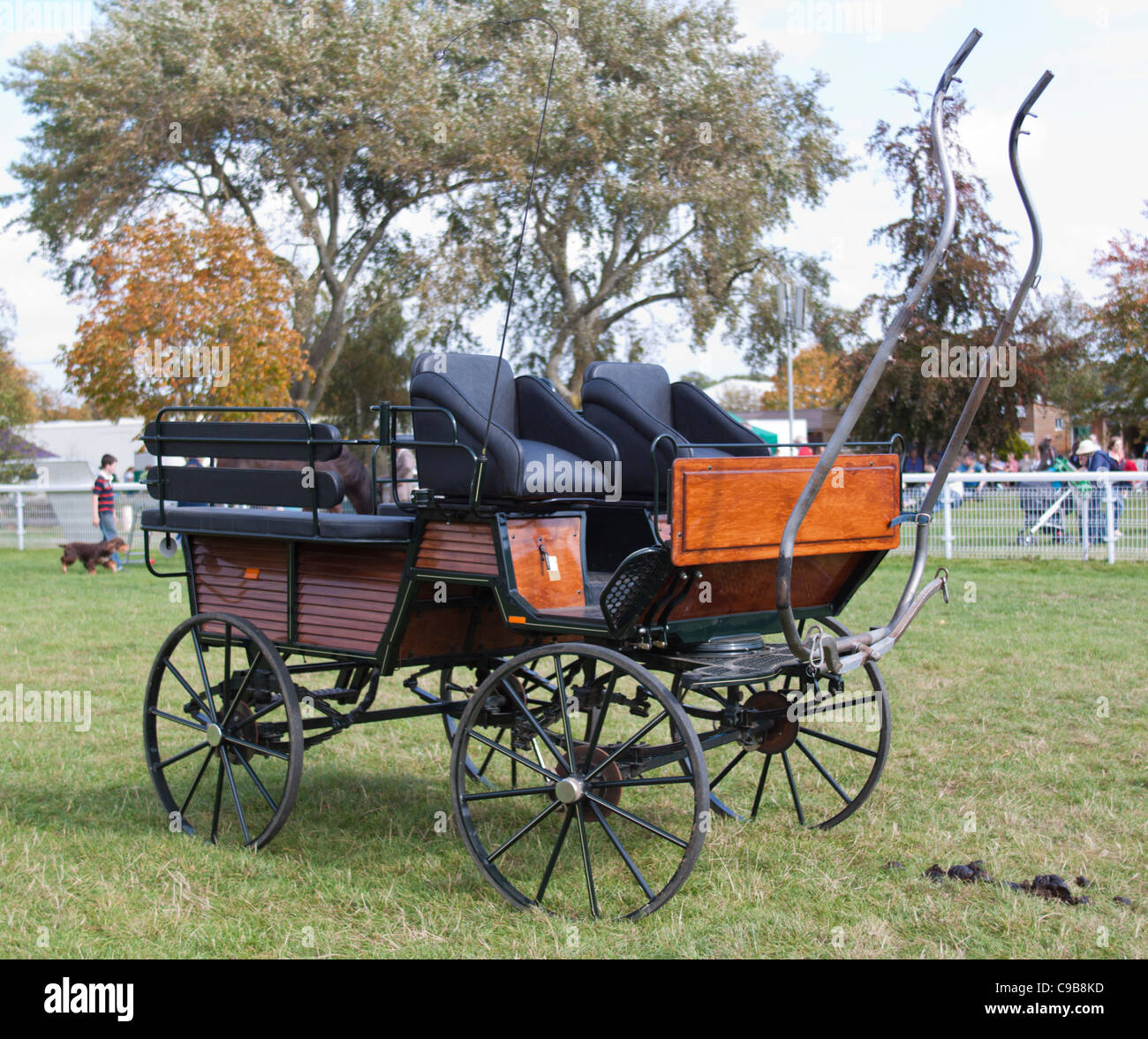 Four-wheeled, horse-drawn wagonette Stock Photo