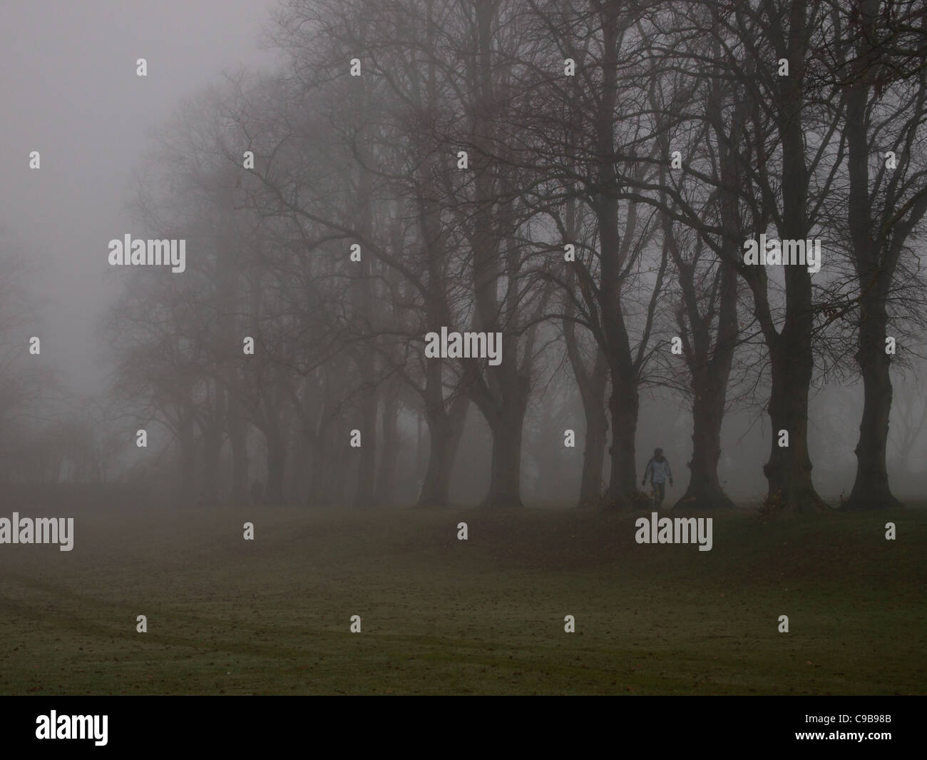 Alone fog one single hi-res stock photography and images - Alamy