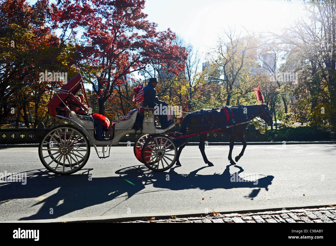 Central park horse carriage hi-res stock photography and images - Alamy