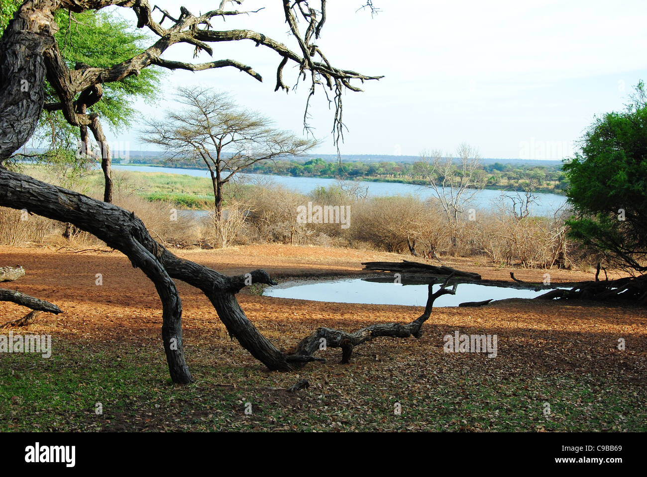 Zimbabwe is a small country boasting an incredible variety of landscapes and animals. Stock Photo