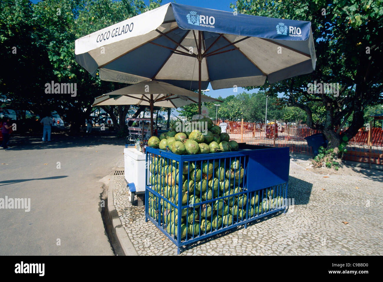 Coconut Vendor in a Park, Lagoa, Rio de Janeiro, Brazil Stock Photo