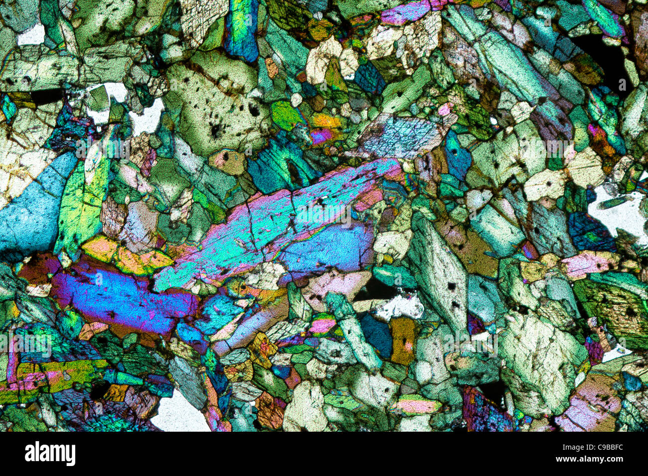 Hornblende cross polarized photomicrograph showing typical varied ...