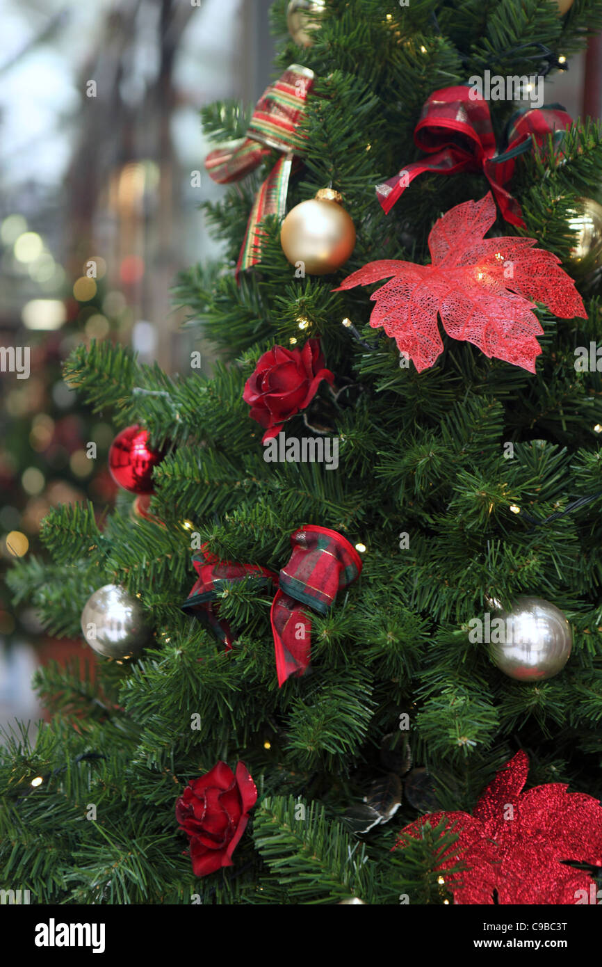Municipal christmas tree hires stock photography and images Alamy