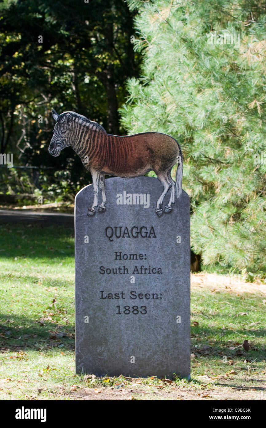 Welcome to the  Extinct Graveyard in America Quagga Stock Photo