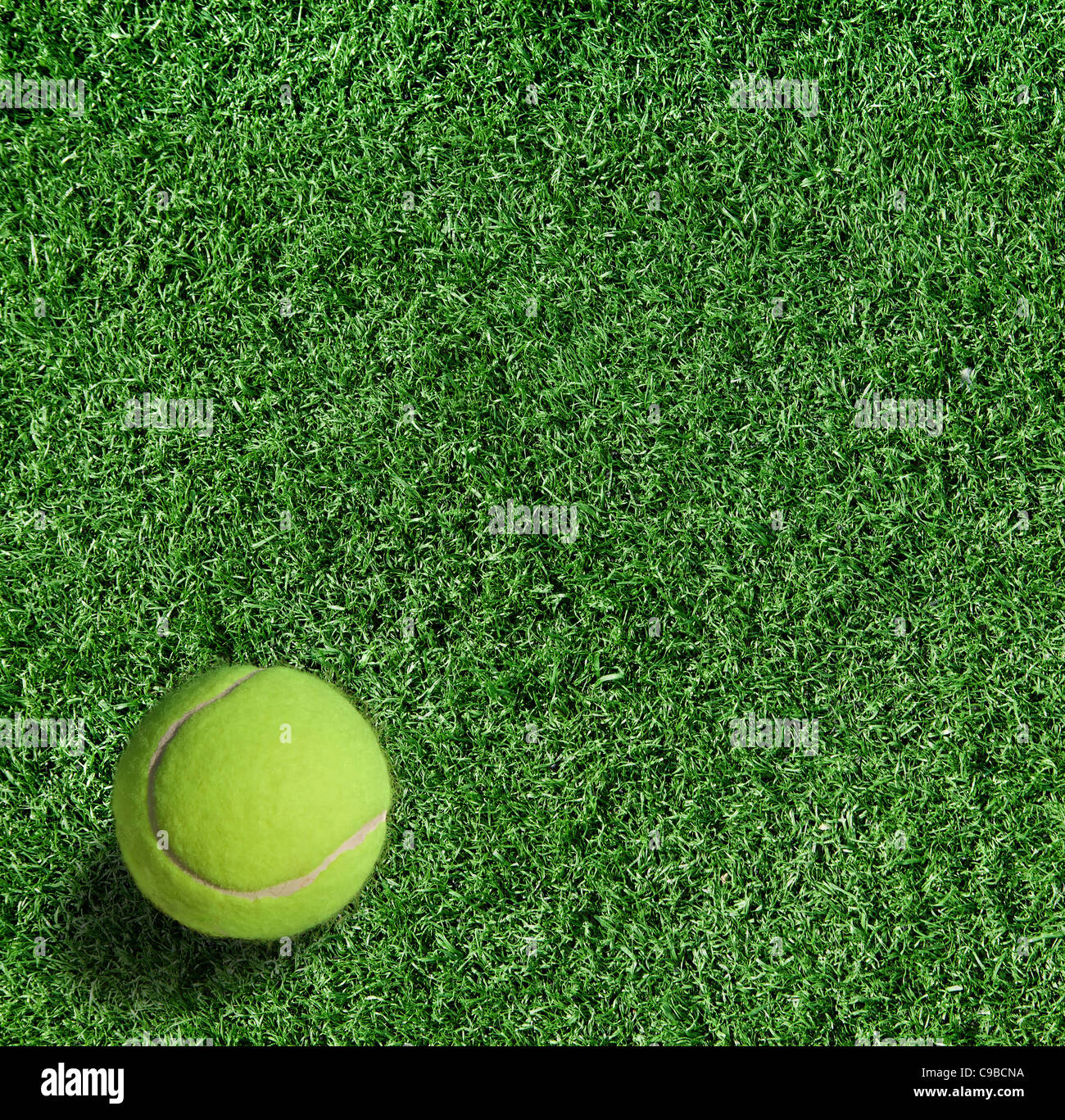The grass is green, small, close-up. Background Stock Photo