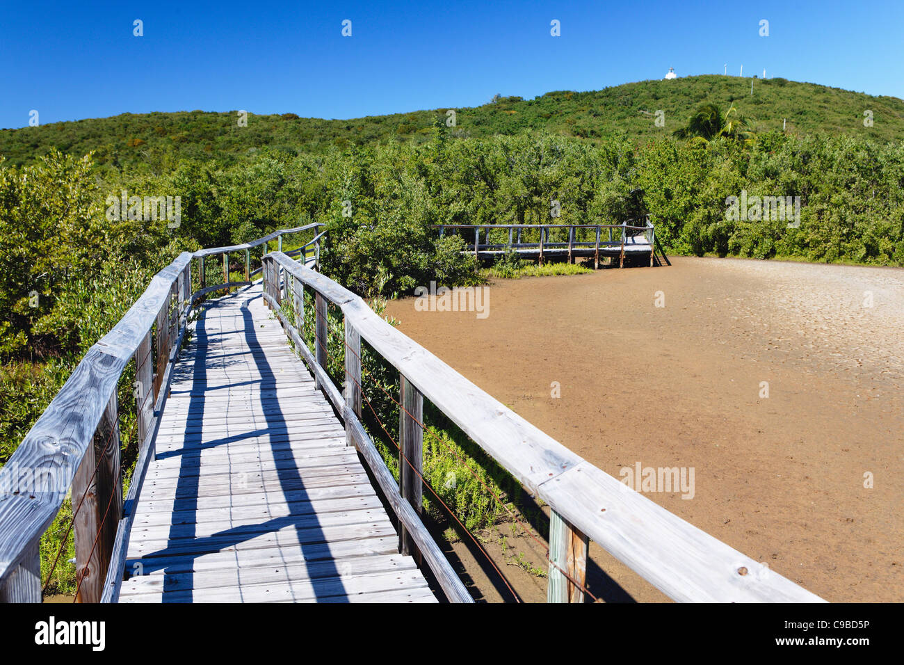 Boardwalk in the Marsh, Las Cabezas De San Juan Nature Preserve, Fajardo, Puerto Rico Stock Photo