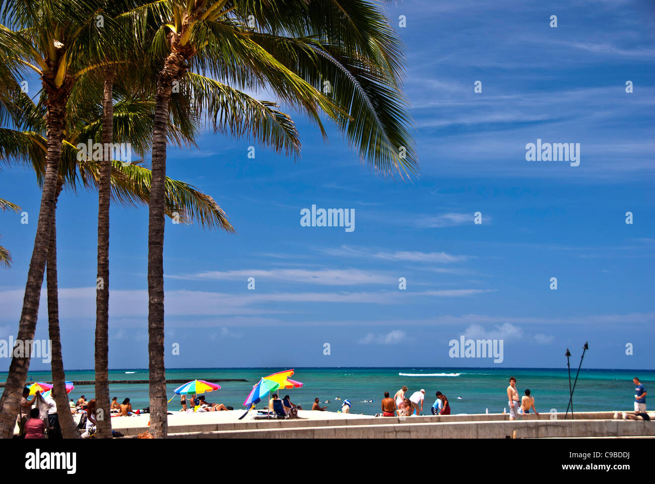 Waikiki Beach, Hawaii, colorful beach umbrellas, sunbathers and palm