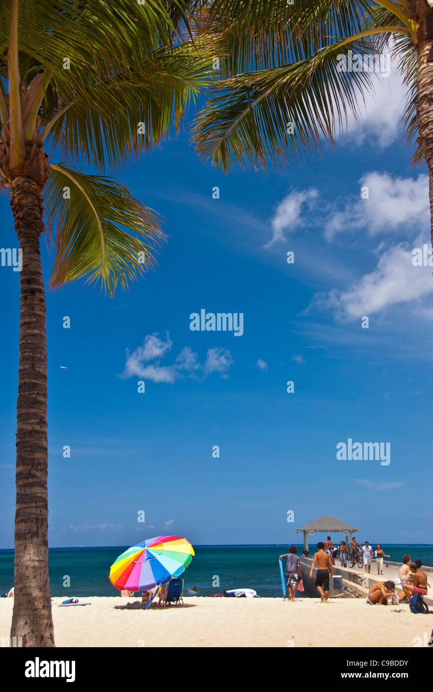Waikiki Beach, Hawaii, colorful beach umbrella, sunbathers and palm trees Stock Photo