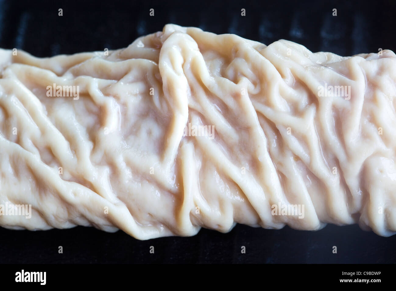 Raw pigs intestine or Chitterlings ready for cooking An example of