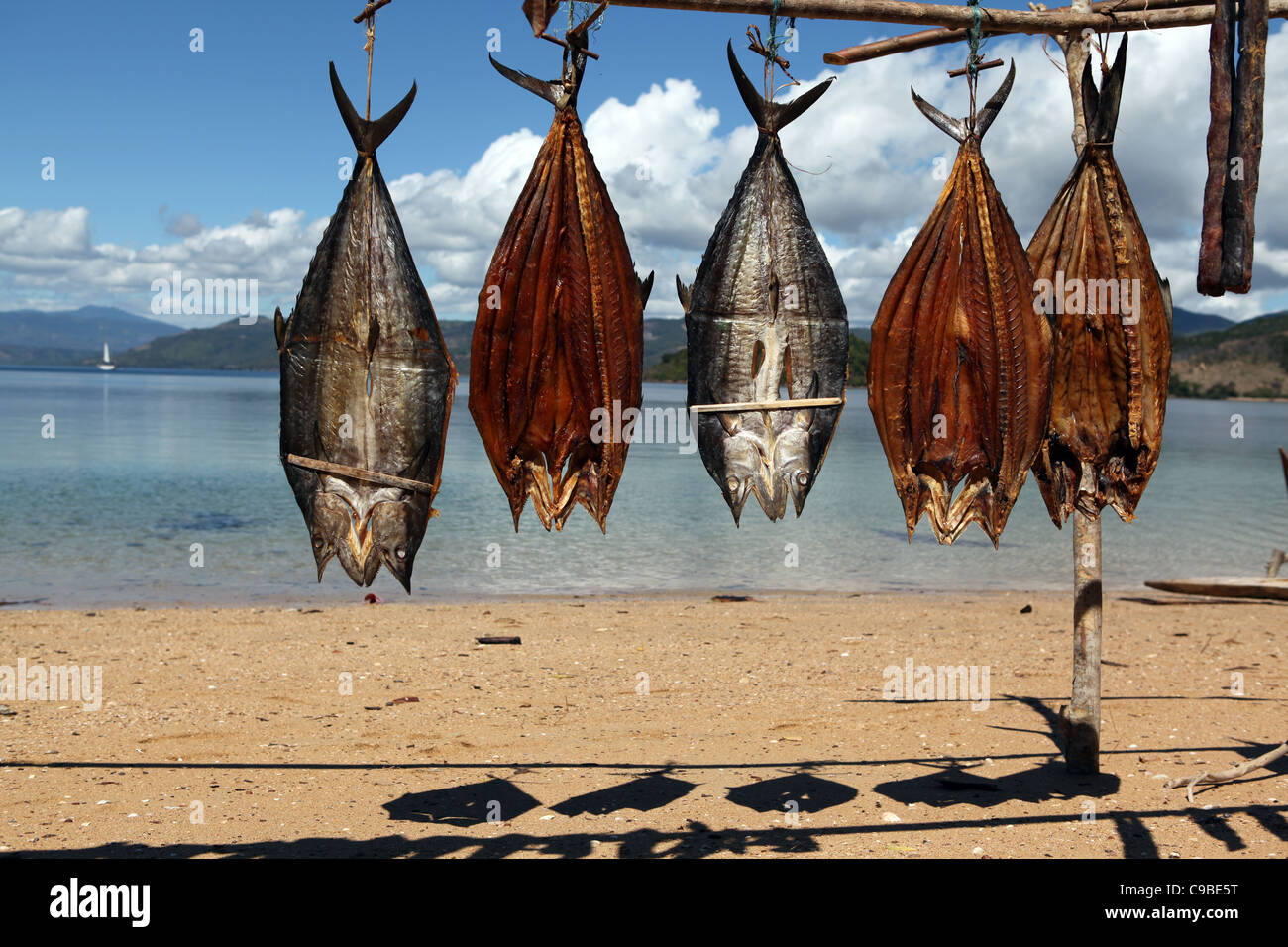 Drying fish in the sun at the beach in Mamoko island, Madagascar Stock
