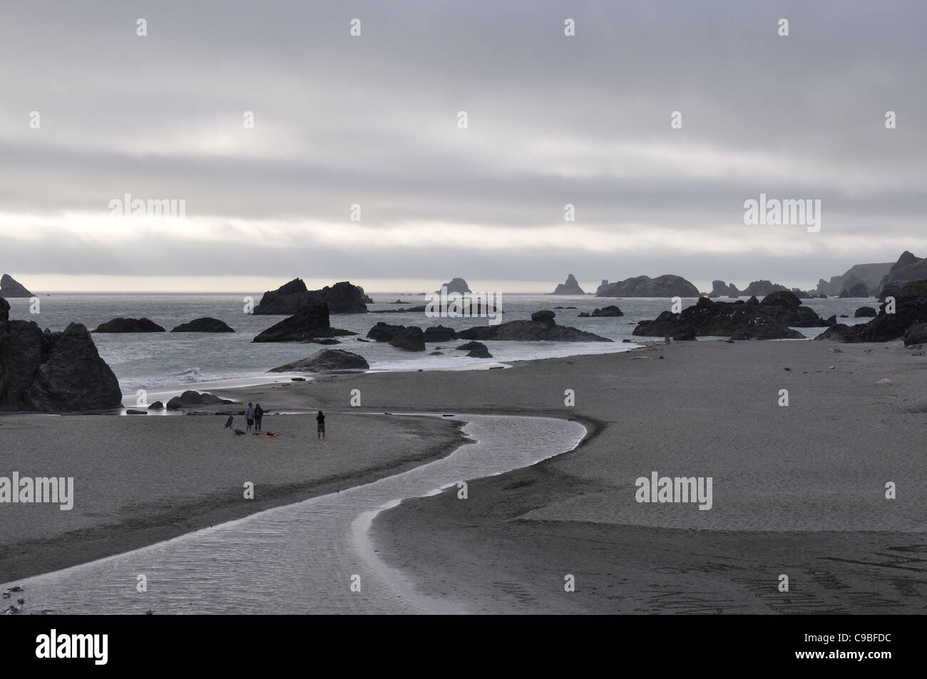 Families play on beach just north of Brookings Oregon with sea stacks and ocean surf in the background. Stock Photo