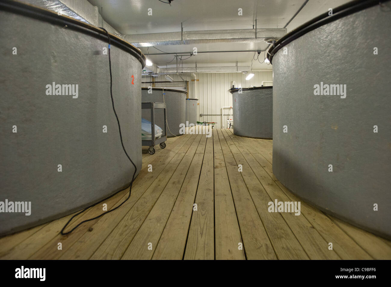 Aquaculture lab at Delaware State University Stock Photo Alamy