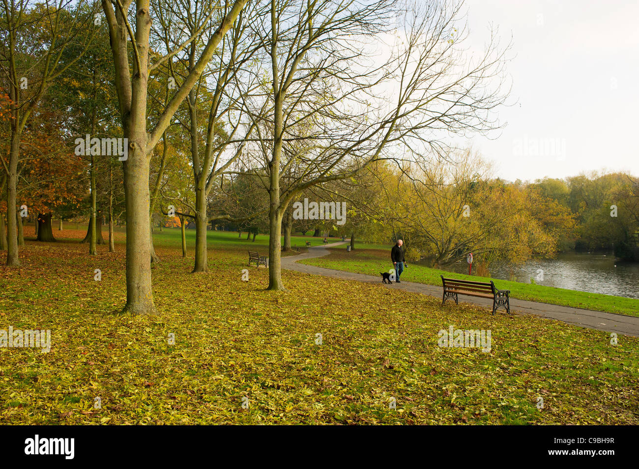 Lake Meadows in Billericay Stock Photo Alamy