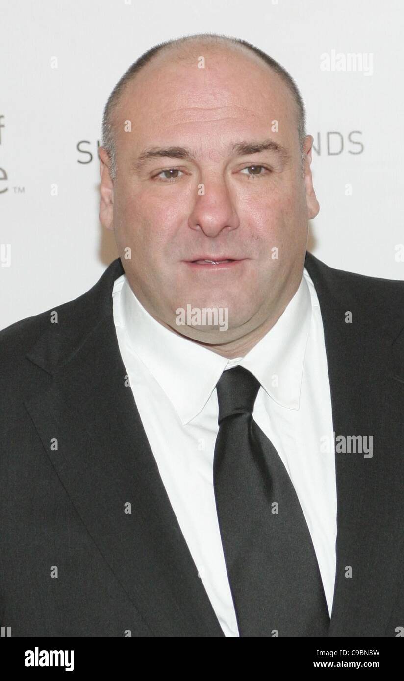 James Gandolfini at arrivals for 2011 Award of Hope Gala, SOHO House in