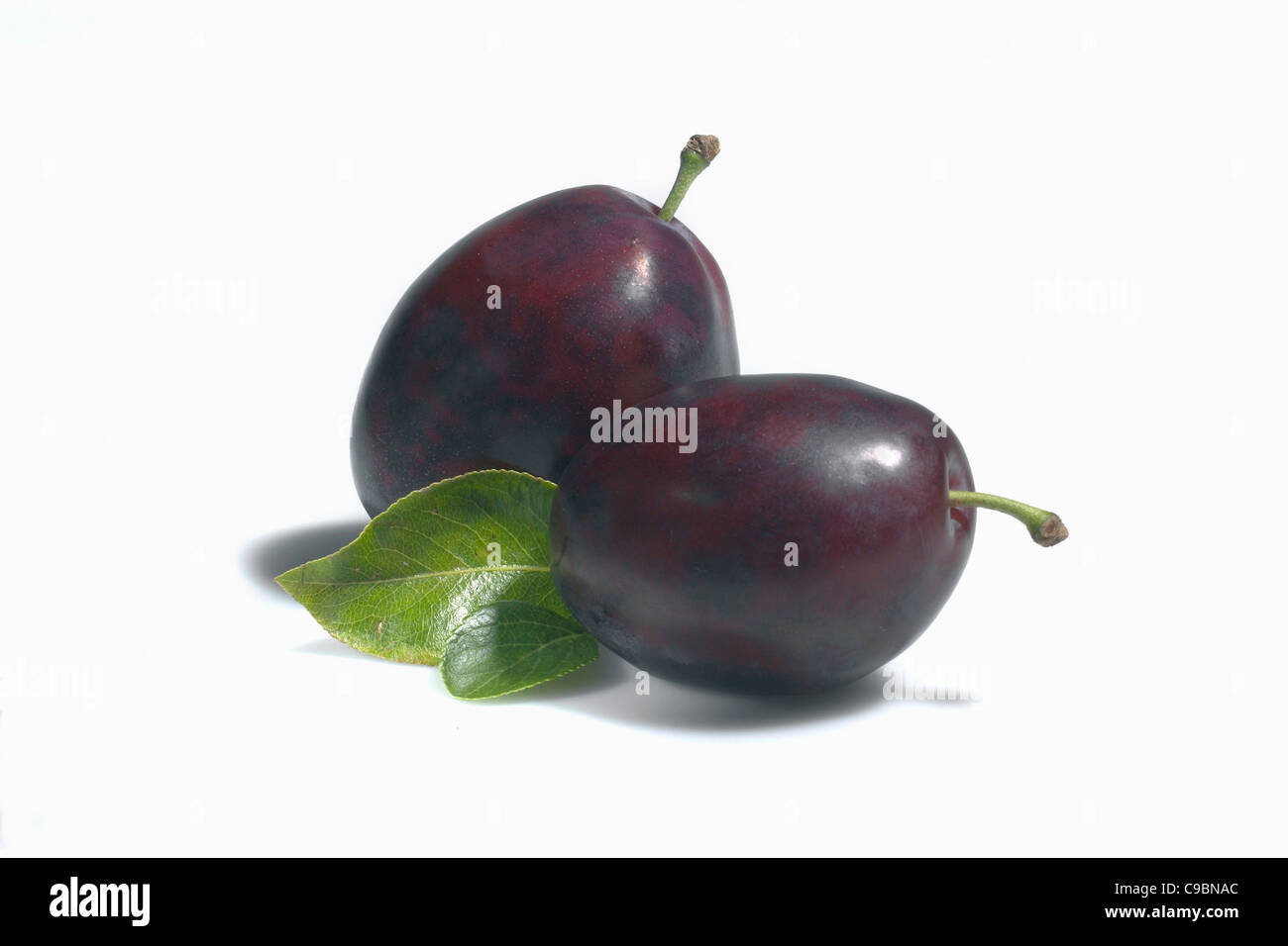 Plums on white background Stock Photo