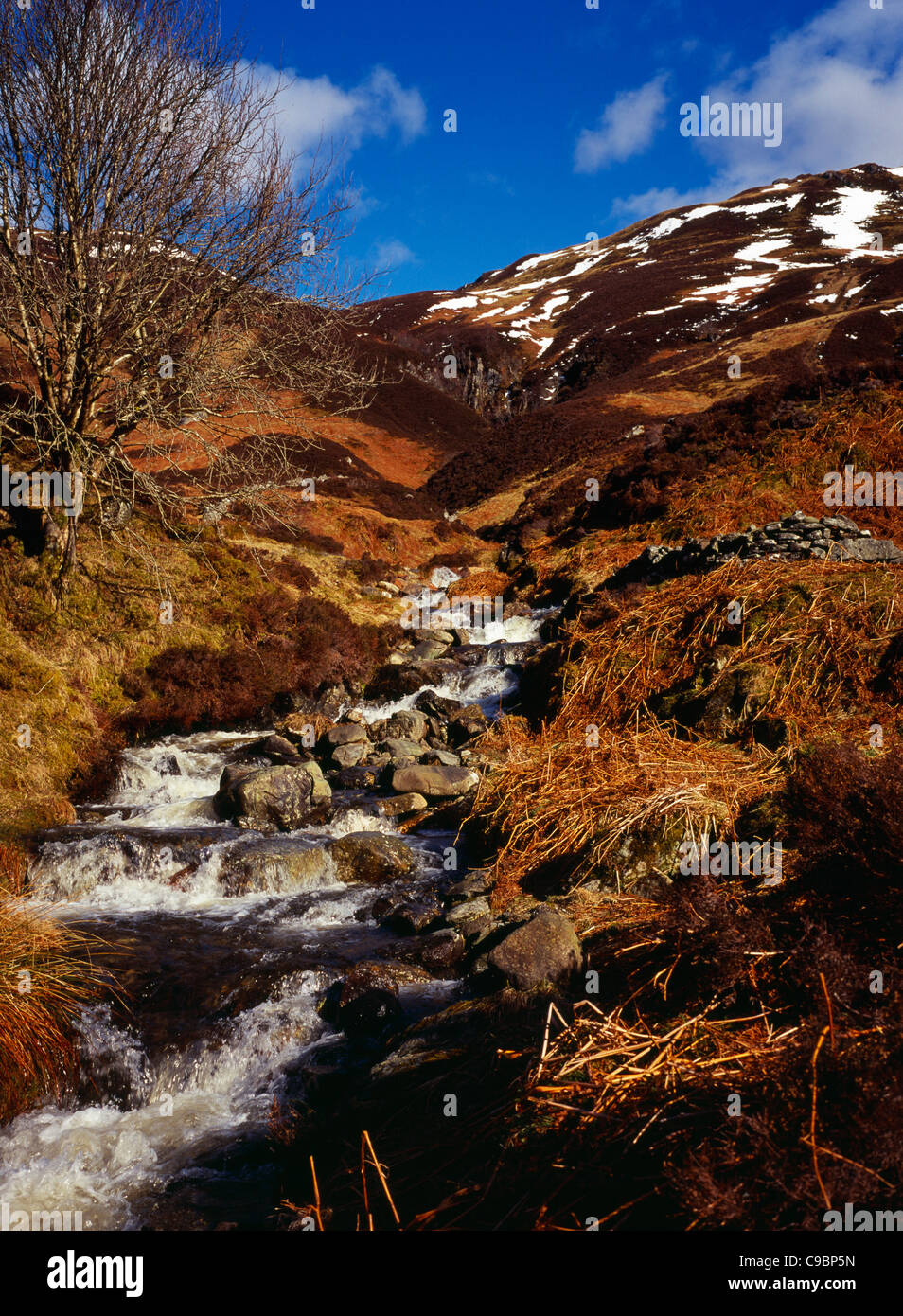 Scotland, Argyll and Bute, Loch Lubnaig, Loch Lomond and Trossachs National Park. Mountain stream flows from west of Benn Each Stock Photo