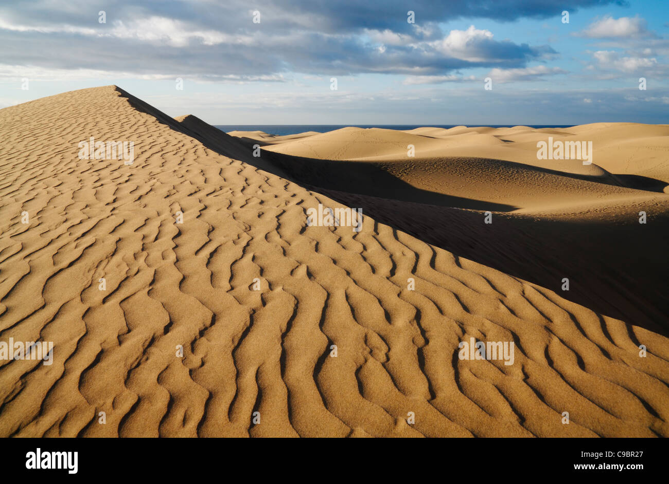 Early morning light on Maspalomas dunes, Maspalomas, Gran Canaria, Canary Islands, Spain Stock Photo