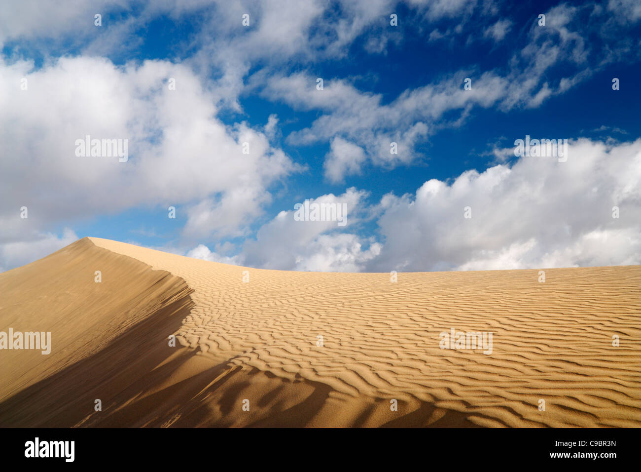Maspalomas dunes, Maspalomas, Gran Canaria, Canary Islands, Spain Stock Photo