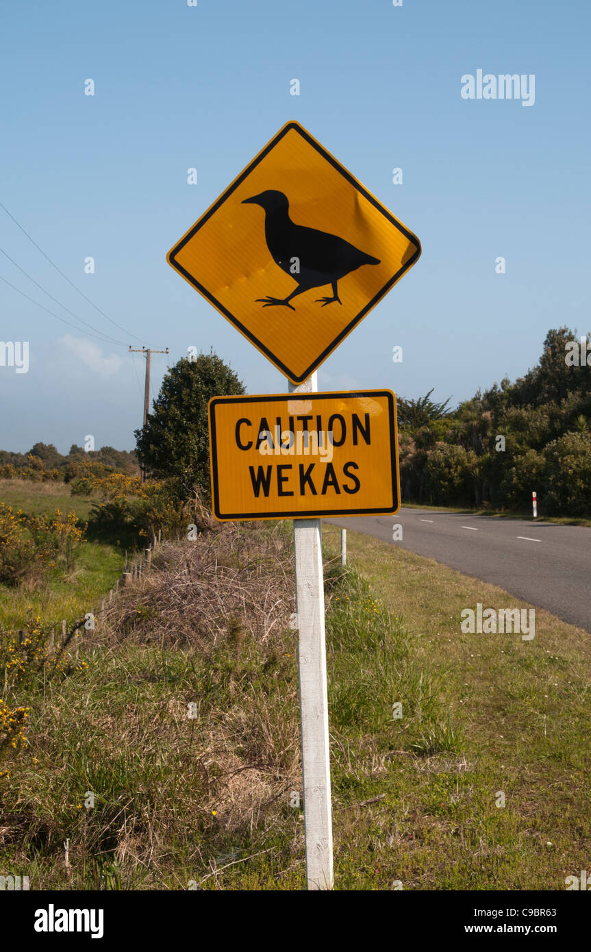 Sometimes traffic signs in New Zealand warn drivers about crossing Weka birds.  Ein Verkehrsschild warnt vor Wekarallen Stock Photo