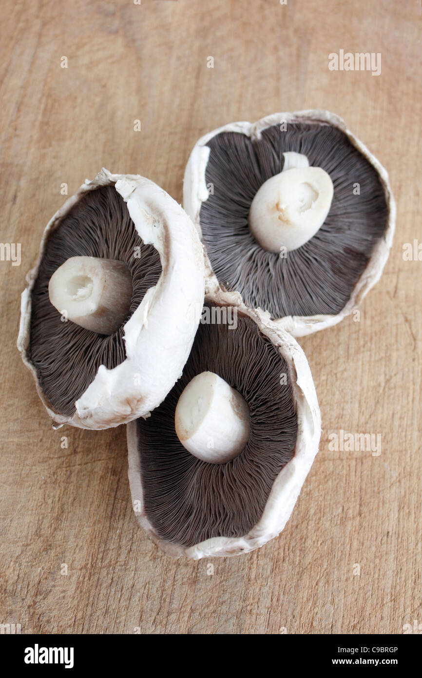 A big flat mushroom on a wooden surface Stock Photo Alamy