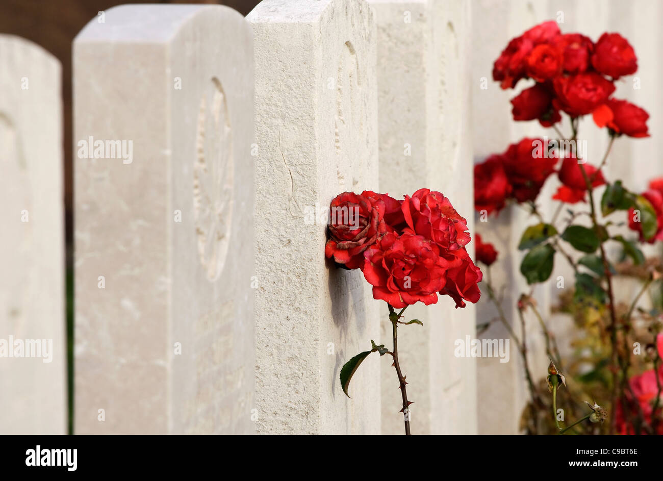 Canadian Military graves circa 1919, in a cemetery in North Wales. Stock Photo