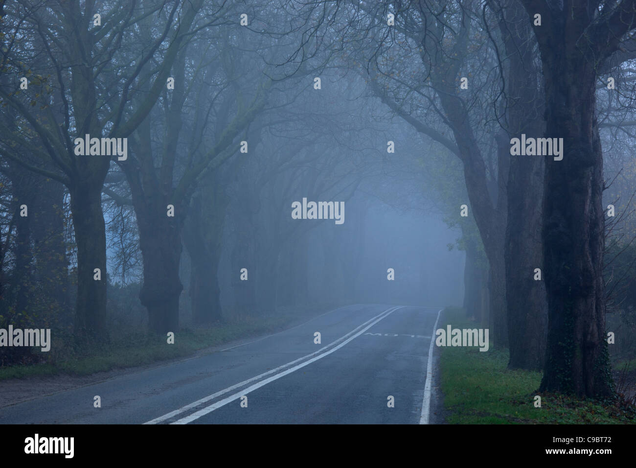 Foggy, misty country road in winter, Cotswolds, Oxfordshire, England Stock Photo