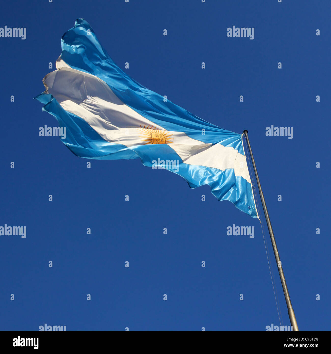 My Image 11