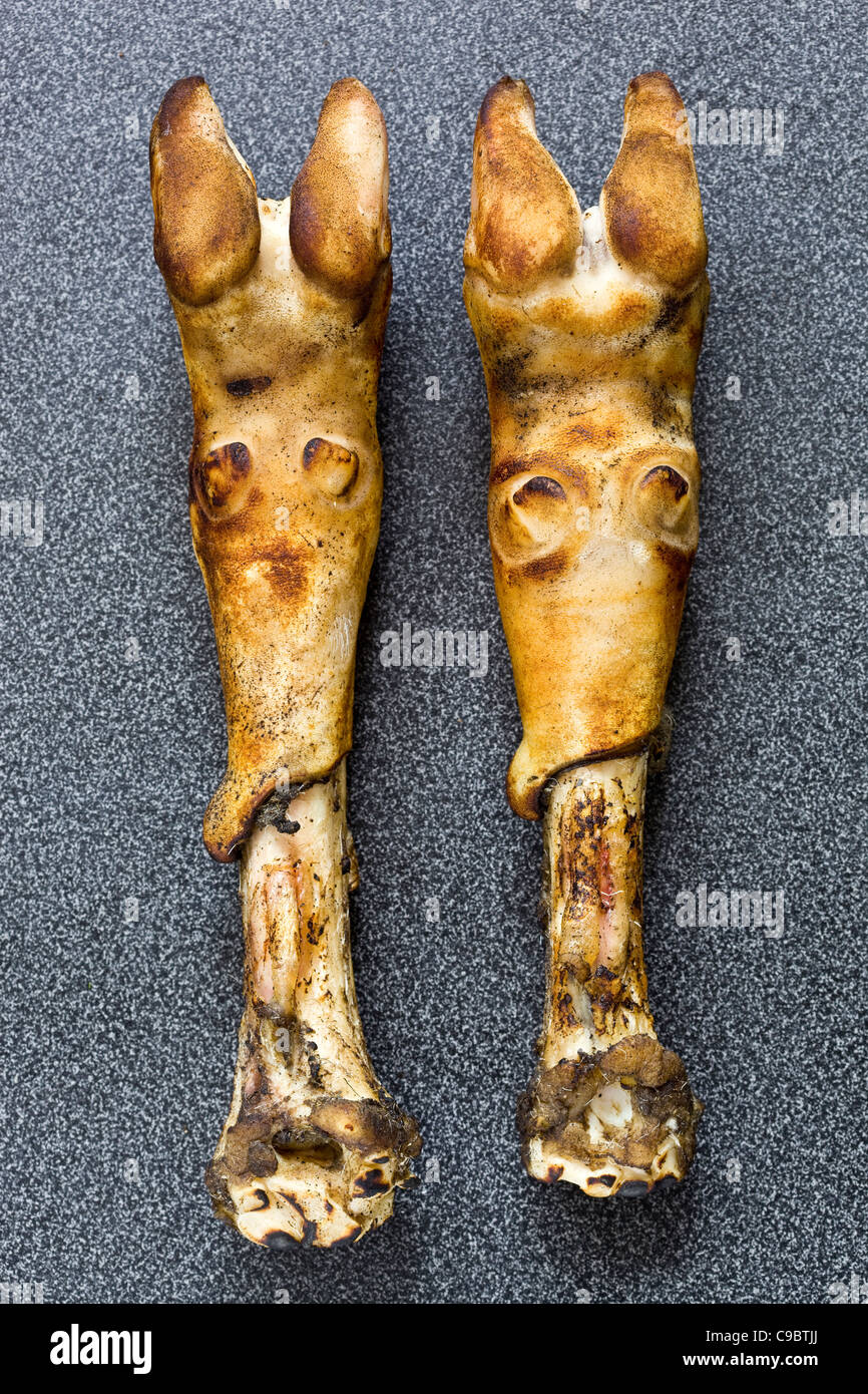 Roasted Goats Feet Stock Photo Alamy