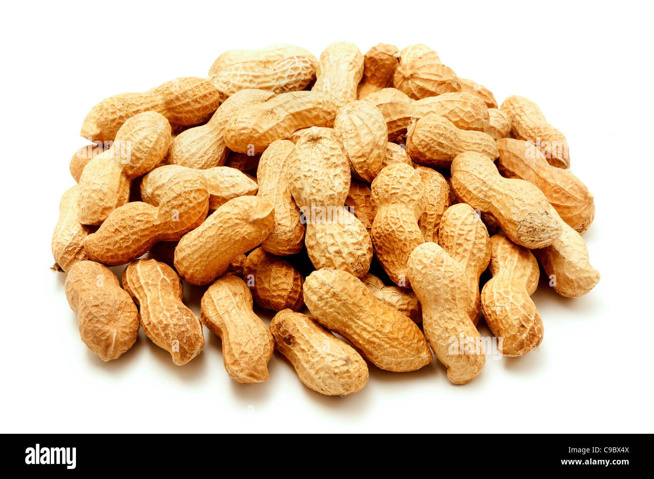 Peanut shells on a white background Stock Photo Alamy
