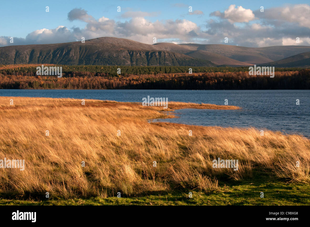 loch insh in afternoon light cairngorms national park scotland Stock ...