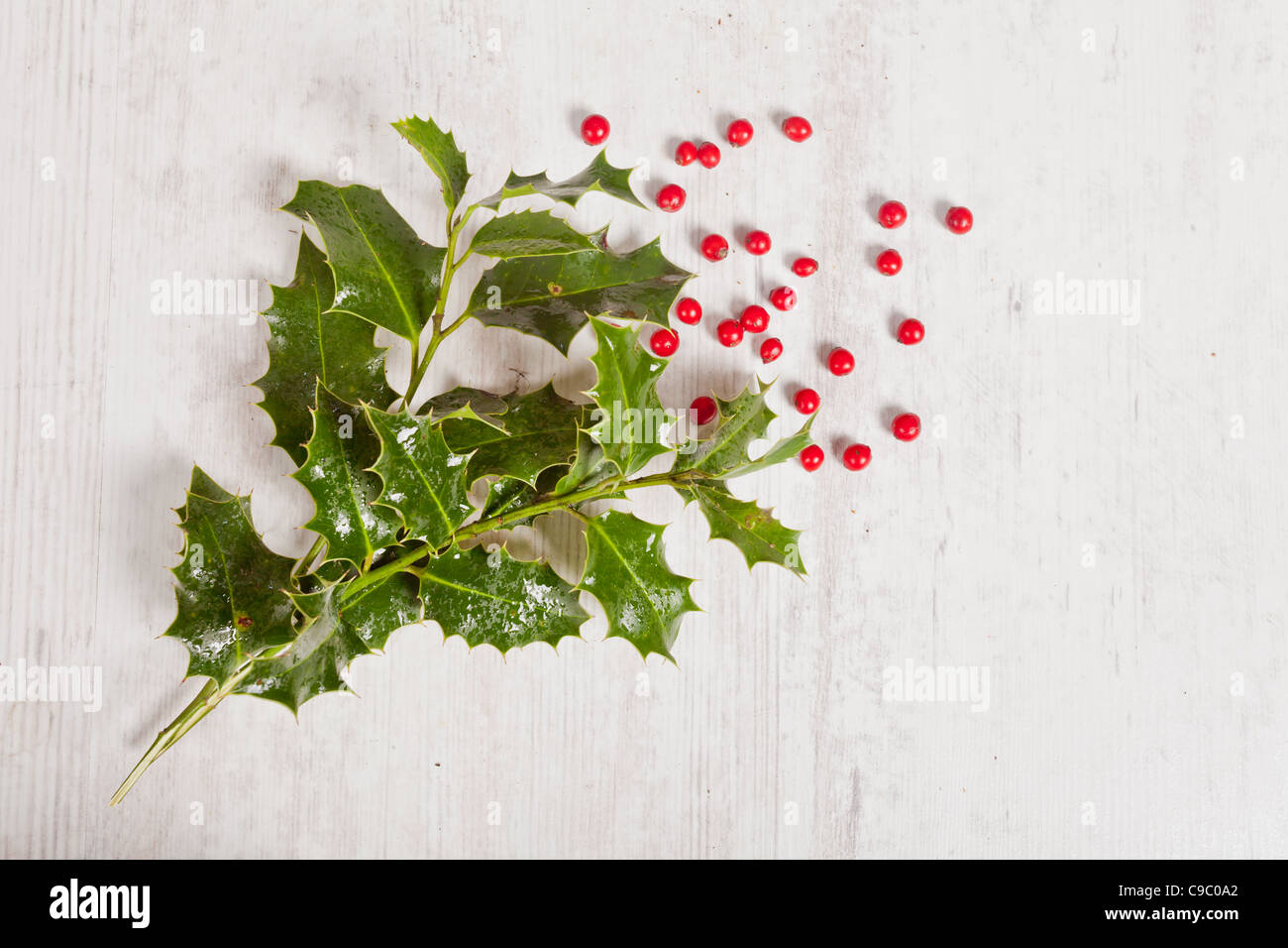 Typical holly and red berries for christmas time decoration Stock Photo