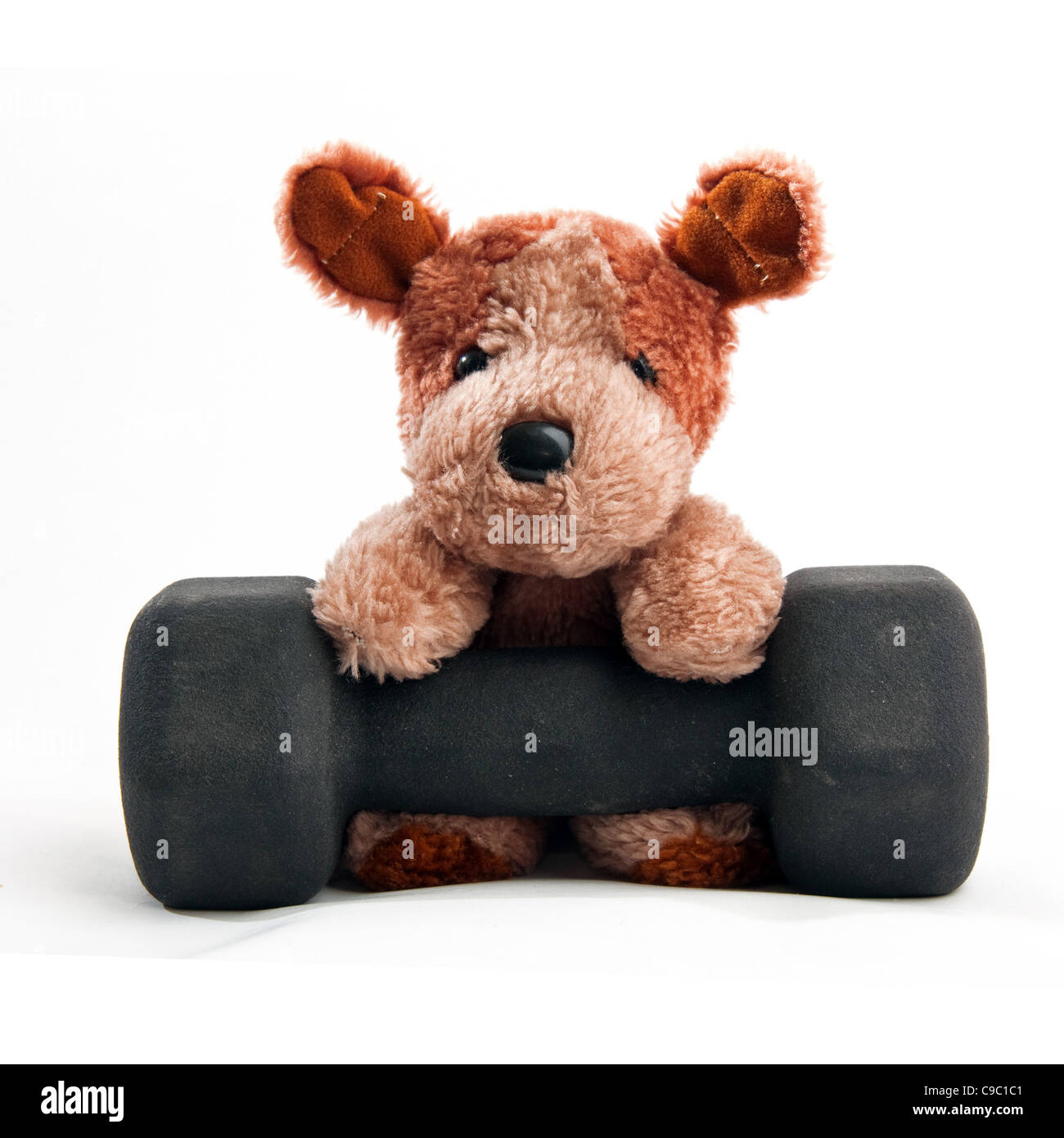 Cuddly white teddy bear red hi-res stock photography and images - Alamy