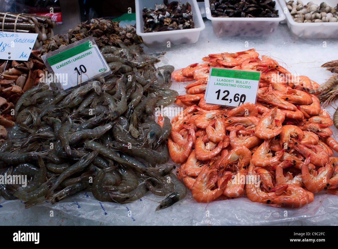 Fresh Shellfish in Barcelona Market Stock Photo
