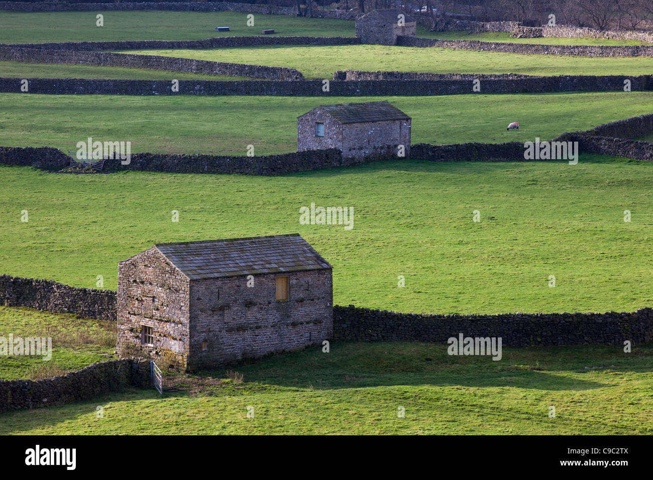 Stony Limestone Barns & farm fields pasture, dry stone walls, November Landscape Countryside Gunnerside, Swaledale, Yorkshire Dales National Park, UK Stock Photo