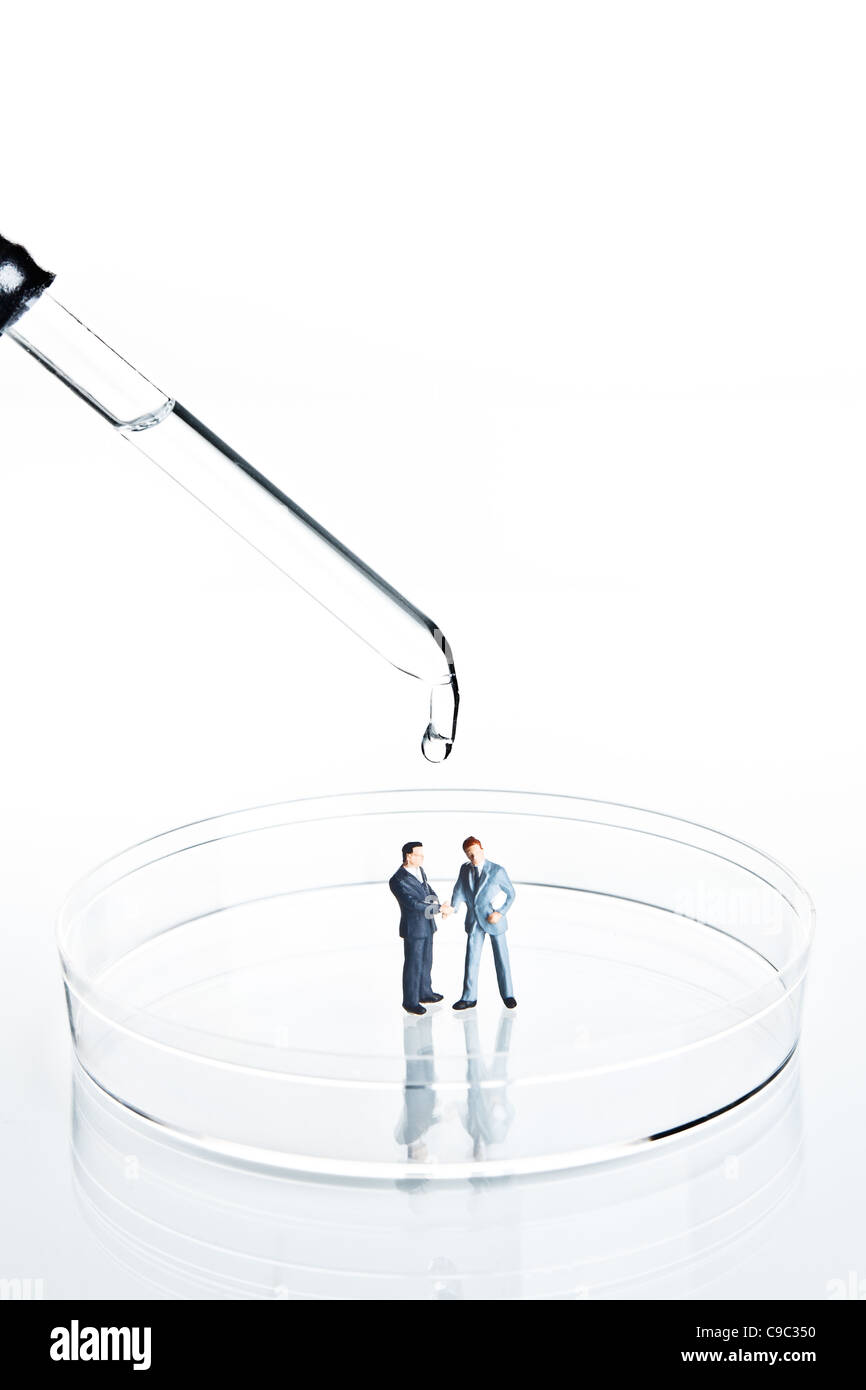 Business figurines shaking hands in a petri dish Stock Photo