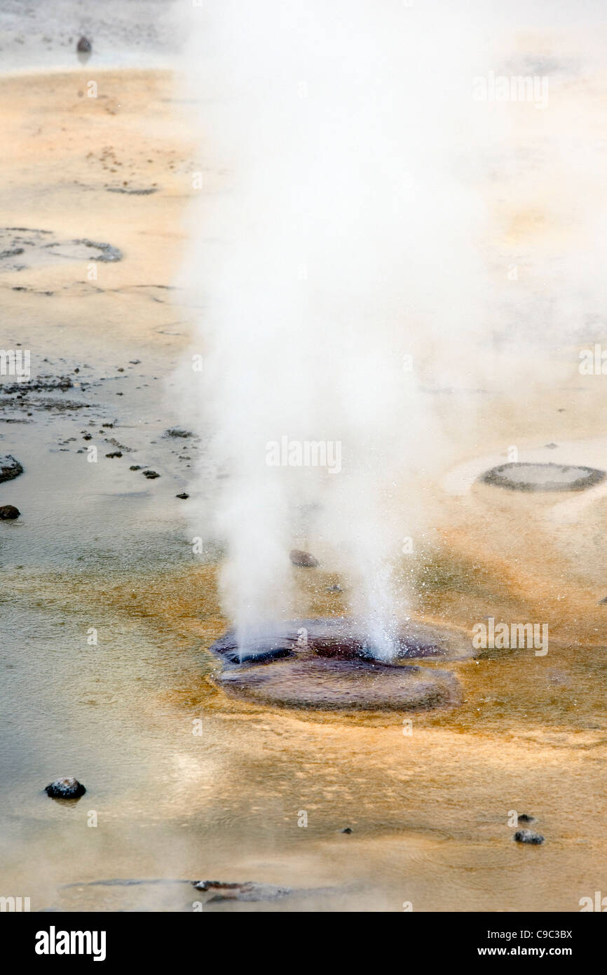 Geothermal feature USA Stock Photo