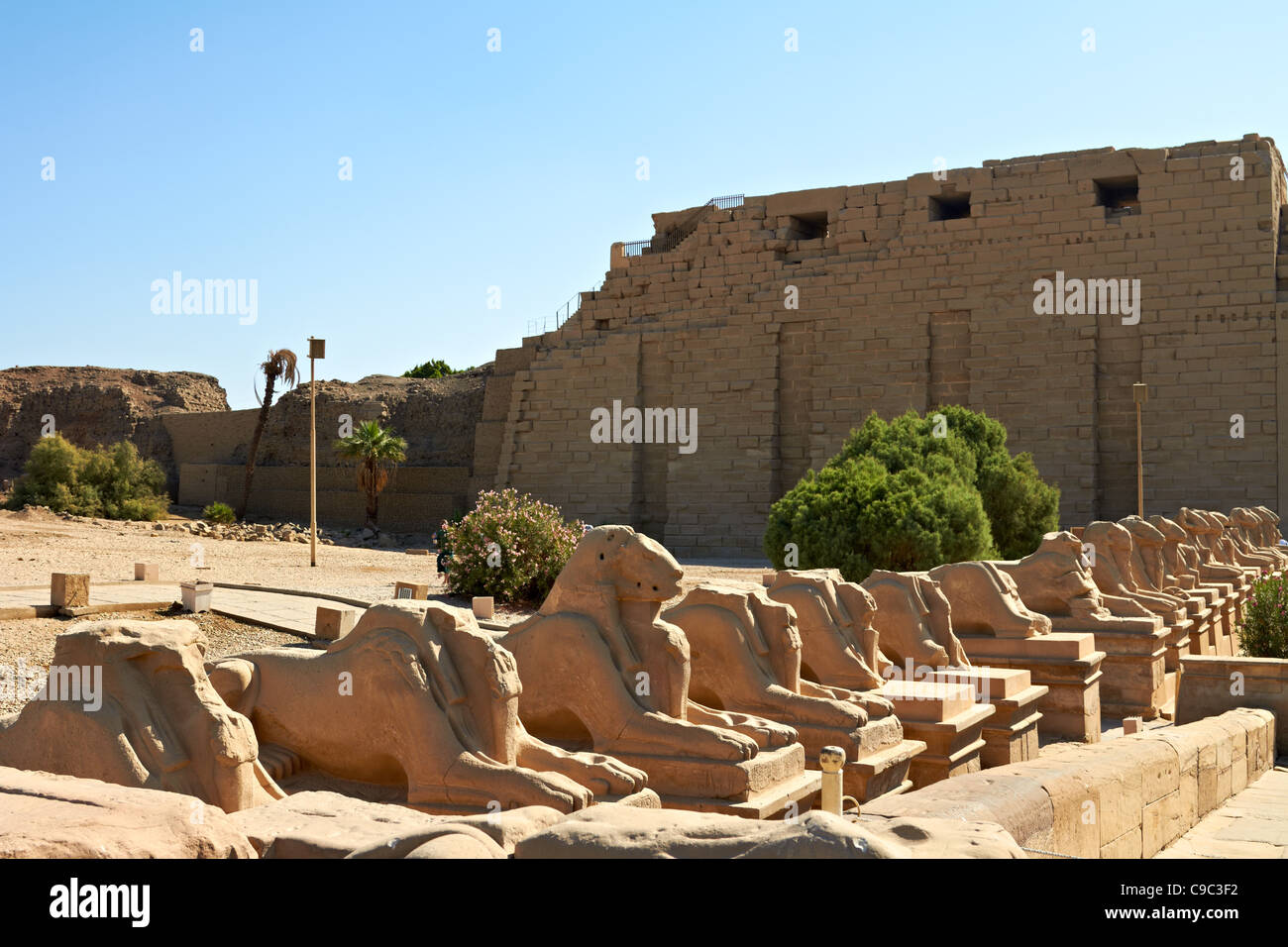 Alley of ram-headed sphinxes in front of Karnak temple,Egypt Stock Photo