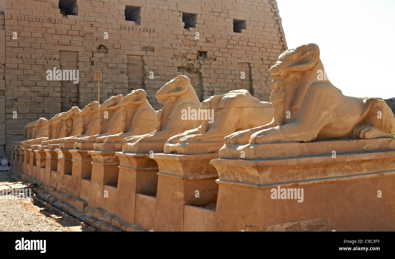 Alley of ram-headed sphinxes in front of Karnak temple,Egypt Stock Photo