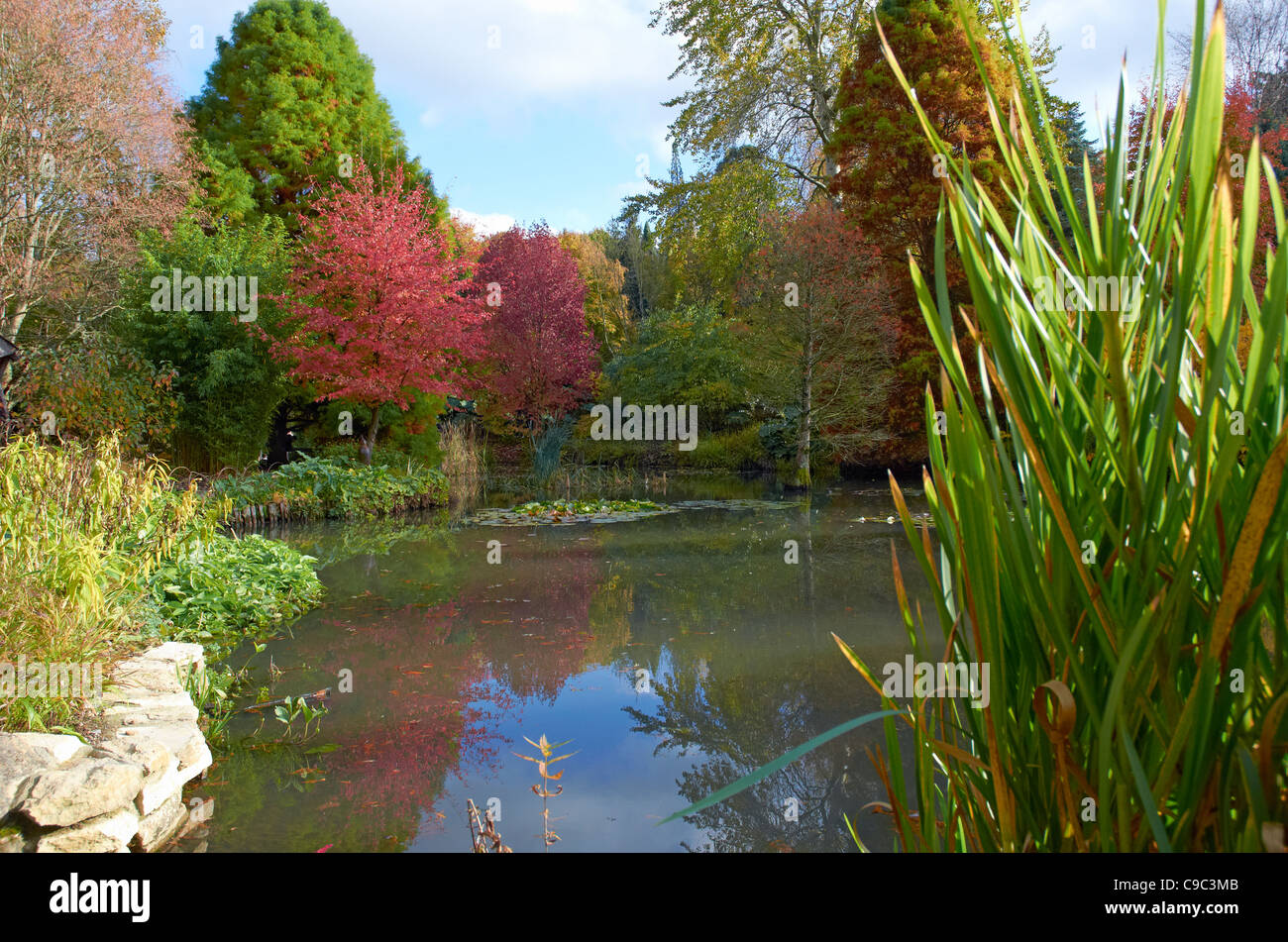 Autumnal scenes and colour at The Sir Harold Hiller Gardens near Winchester, Hampshire, England Stock Photo